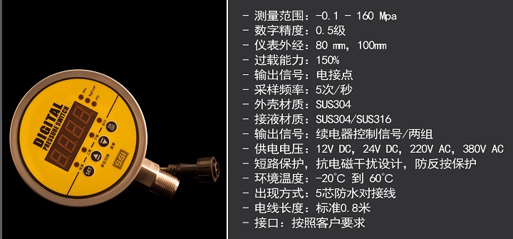出口型-數字顯示/電接點壓力表D-S825